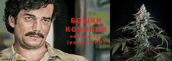 стафф Приозерск