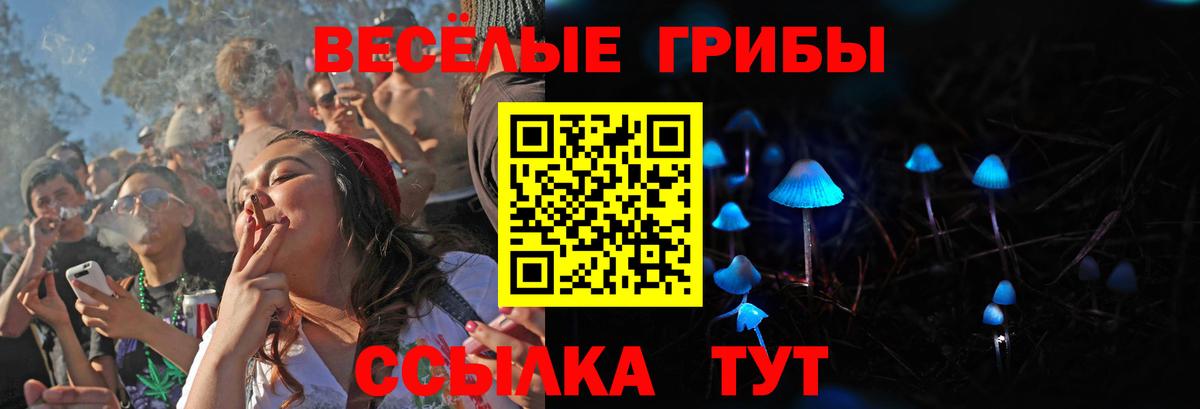 Балабаново  Псилоцибиновые грибы GOLDEN TEACHER  Вход с VPN 