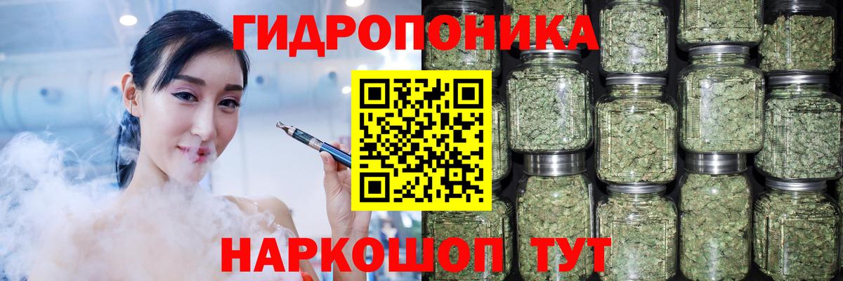 Бошки Шишки сатива Балабаново